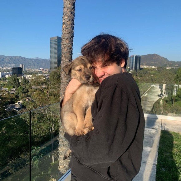 Meet your Posher, Maci - Picture 1 of 1